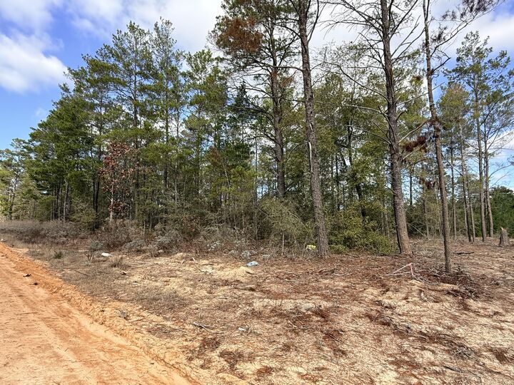 Property Photo:  Lot 2 E Violet East Lane  FL 32433 