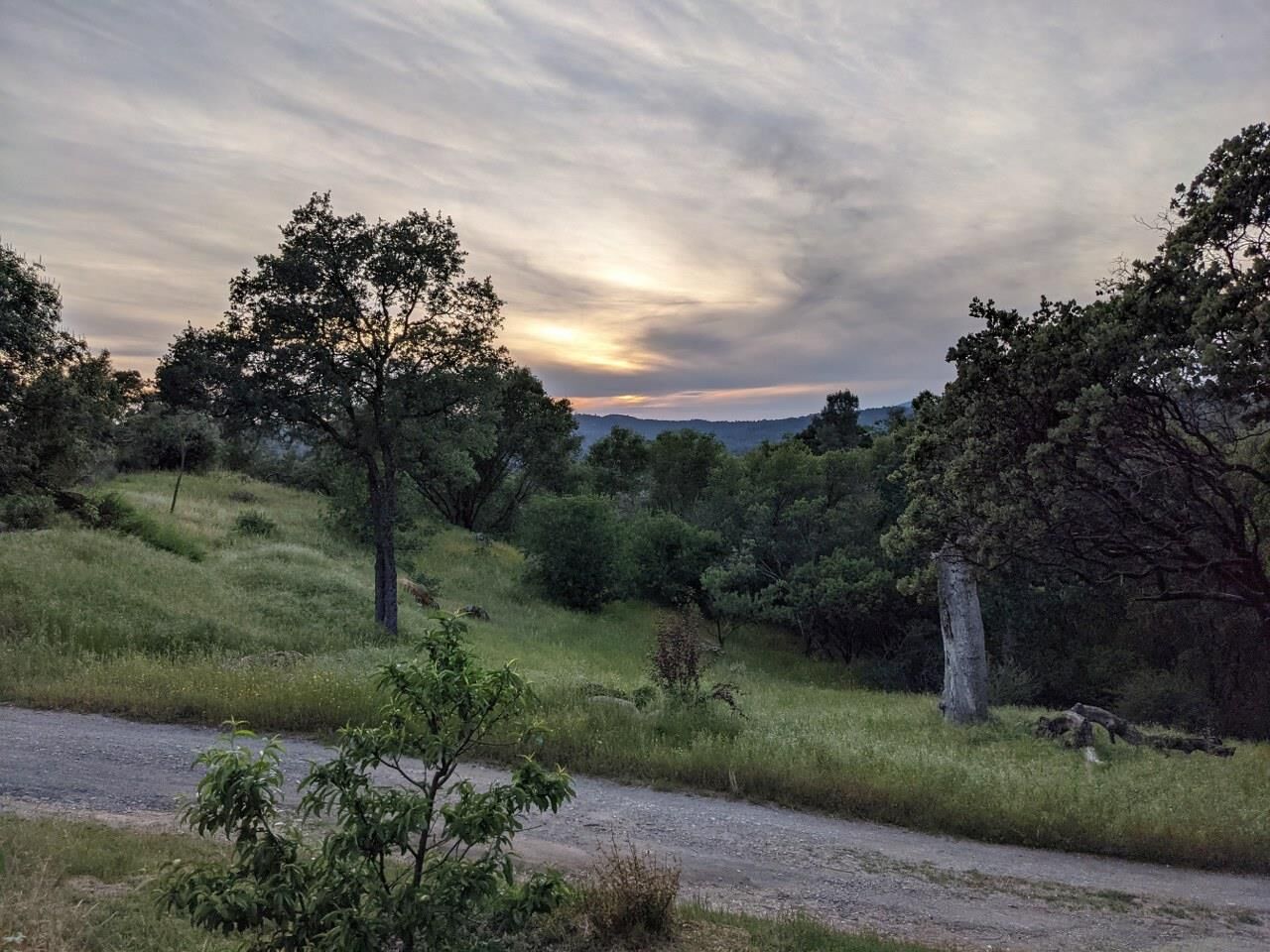 Property Photo: 3279 Quail Run Road CA 95338