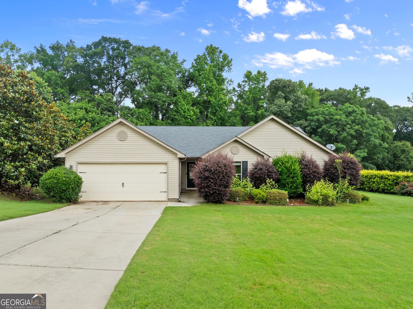 Property Photo:  226 Falling Leaf Lane  GA 30680 