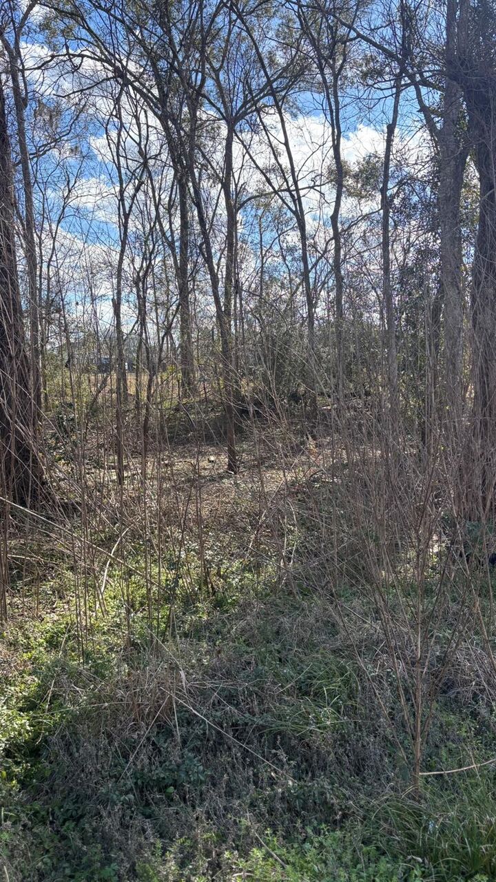 Property Photo:  Lot 622, 620 Marshall Avenue  TX 77515 