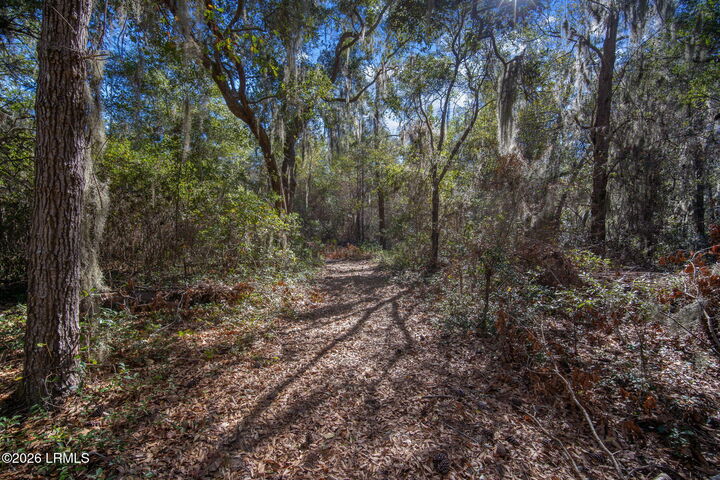 Property Photo:  51 Bermuda Inlet Drive  SC 29920 