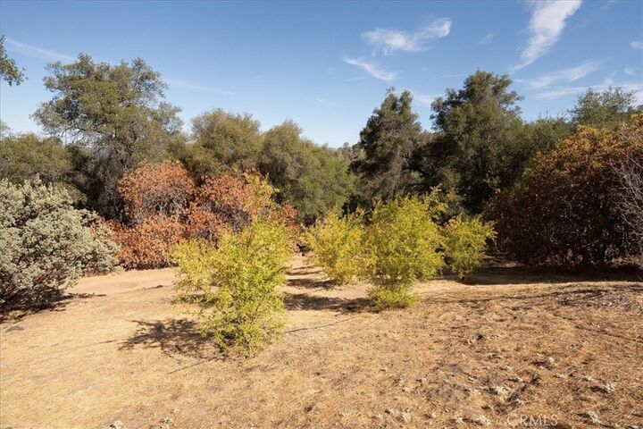 Property Photo:  3279 Quail Run Road  CA 95338 