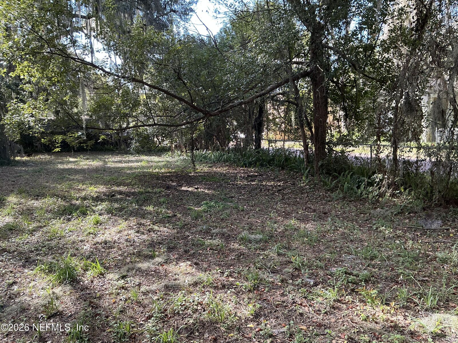 Property Photo:  117 Nellie Street  FL 32177 