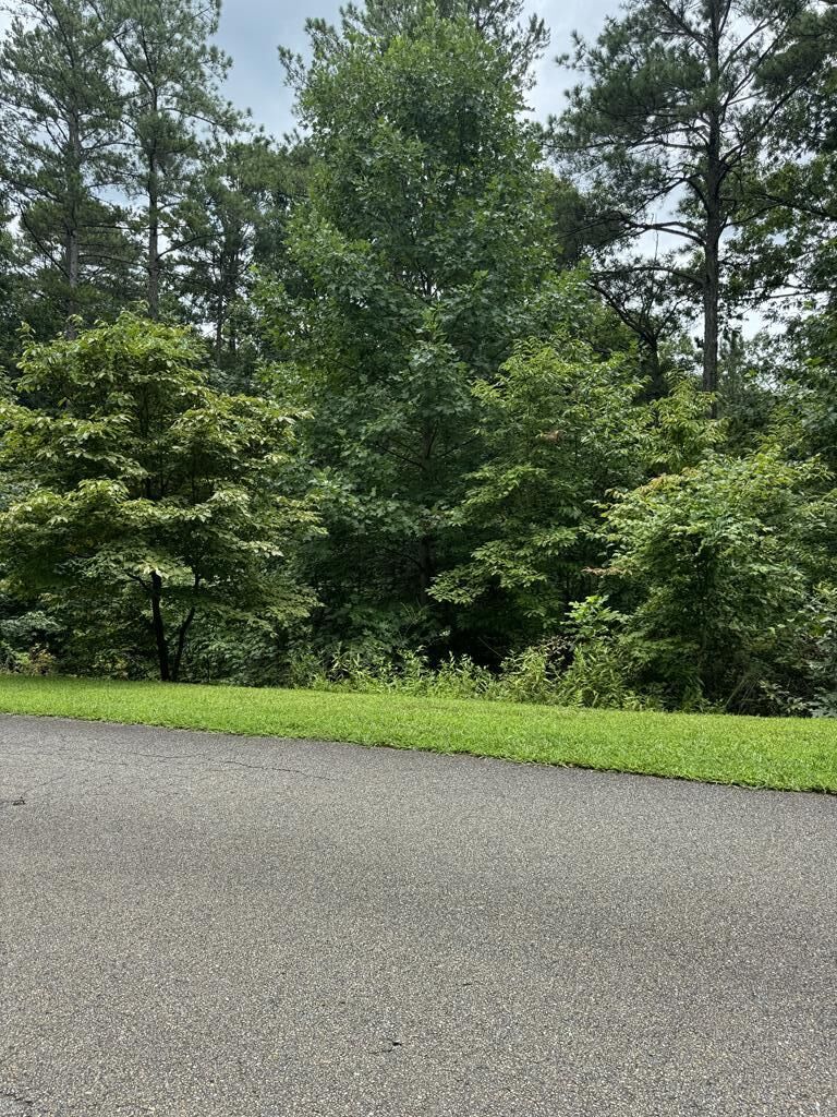 Property Photo:  Lot 5 Harris Creek Drive  GA 30540 