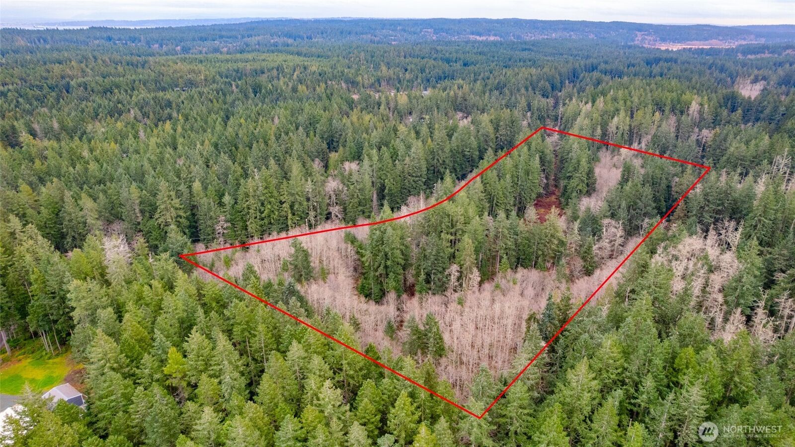 Property Photo:  0 Xxx  Coles Road  WA 98260 