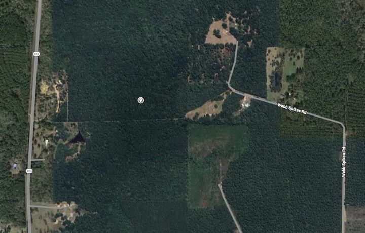 Property Photo:  0 Webb Spikes Road  LA 70653 