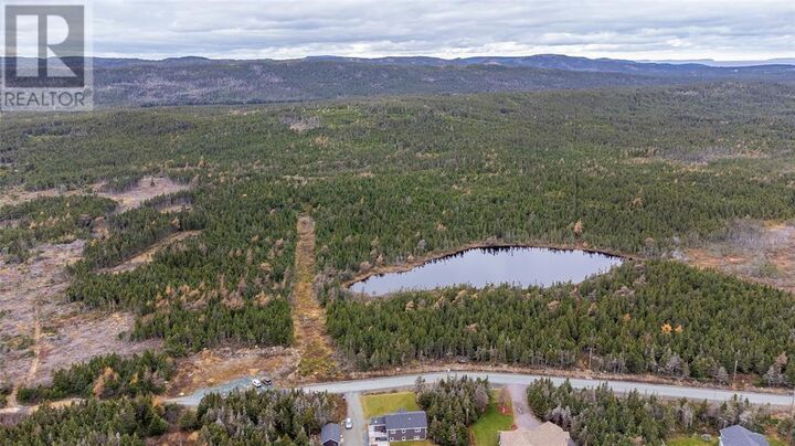 Property Photo:  0 Medalsis Pond Road  NL A1K 1C9 