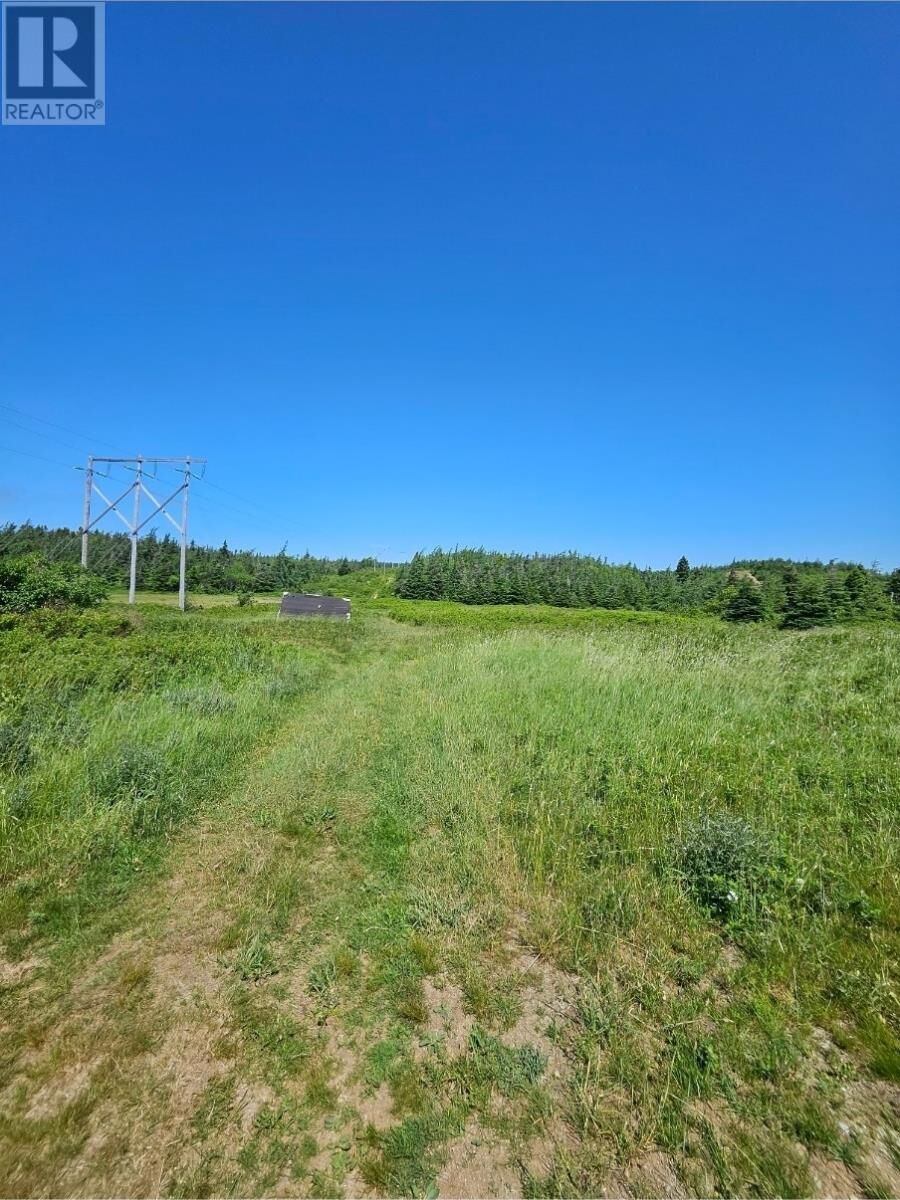 Property Photo:  O Uc Cemetery  NL A0A 1G0 