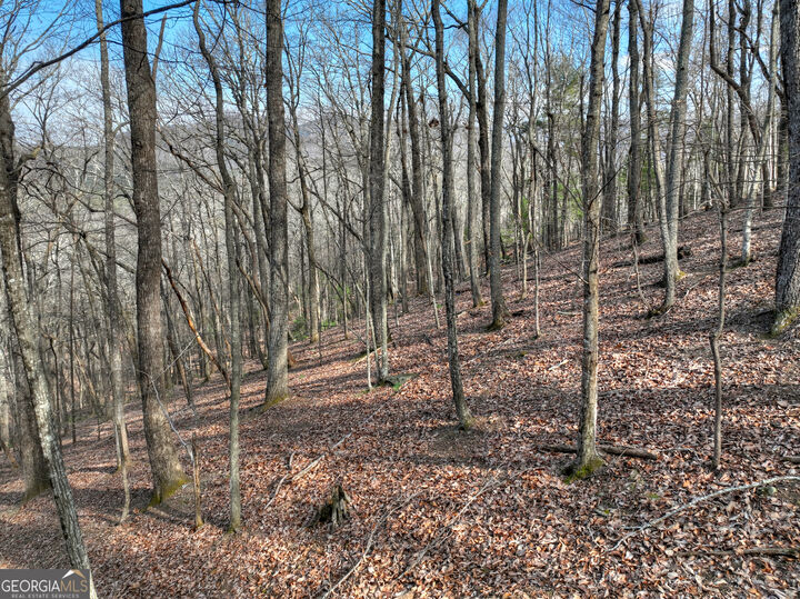 Property Photo:  Lts 159,160 Hickory Trace  GA 30536 