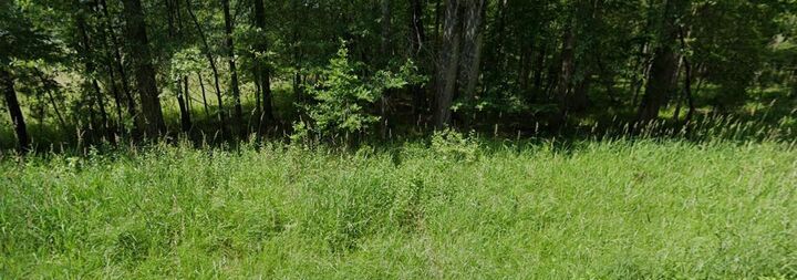 Property Photo: Gray Gable Road WV 24931