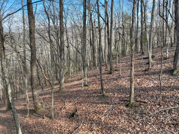 Property Photo: Lts 159+ Hickory Trace GA 30536