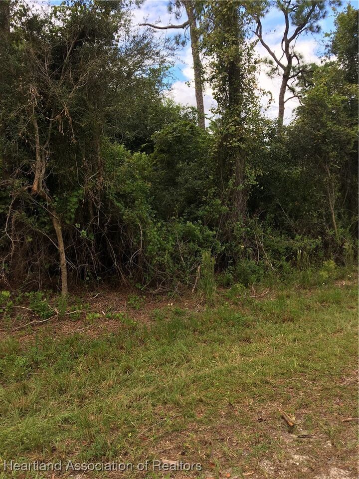 Property Photo:  3247 Forrest View Avenue  FL 33852 
