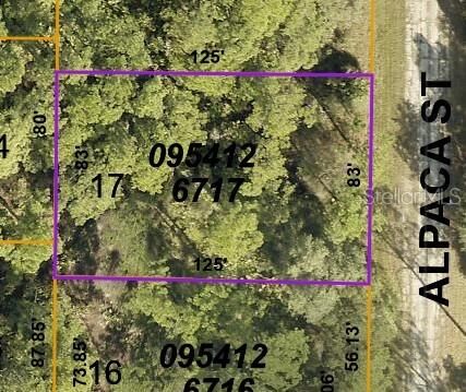 Property Photo: Lot 17 Alpaca Street FL 34291