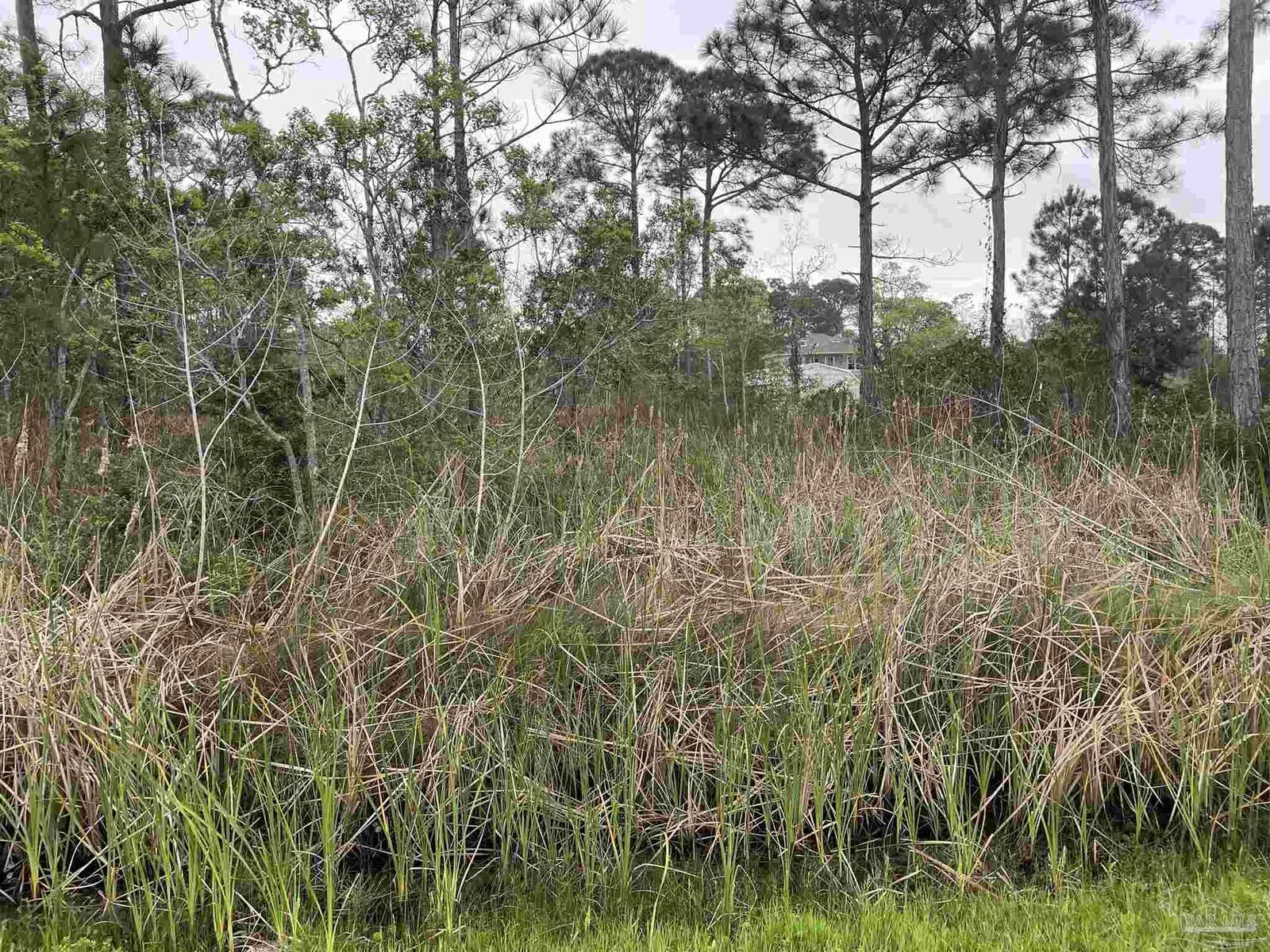 Property Photo:  5500 Blk Bob-O-Link Rd  FL 32507 