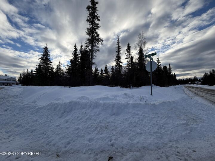 Property Photo:  1117 Inlet Woods Drive  AK 99611 