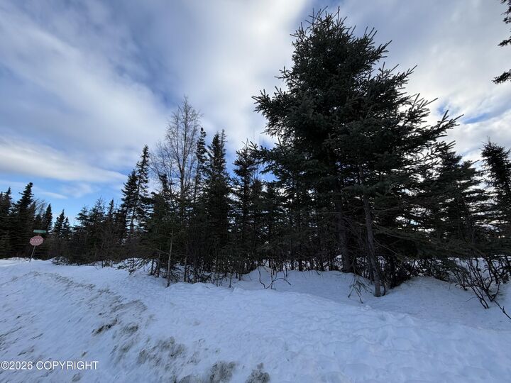 Property Photo: 1117 Inlet Woods Drive AK 99611