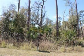 Property Photo:  137 Brig Circle E  FL 33946 