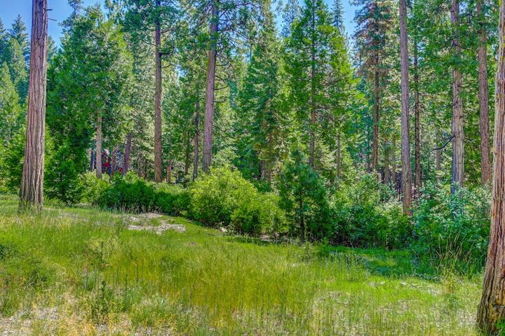 Property Photo:  10 Timber Trail Court  CA 95223 