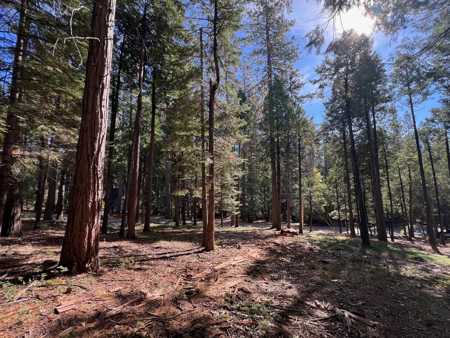 Property Photo:  646 Dean Way  CA 95223 