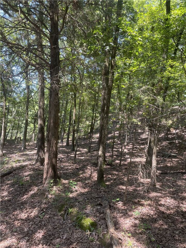 Property Photo:  312 Cr 3222 Two Ac  AR 72830 