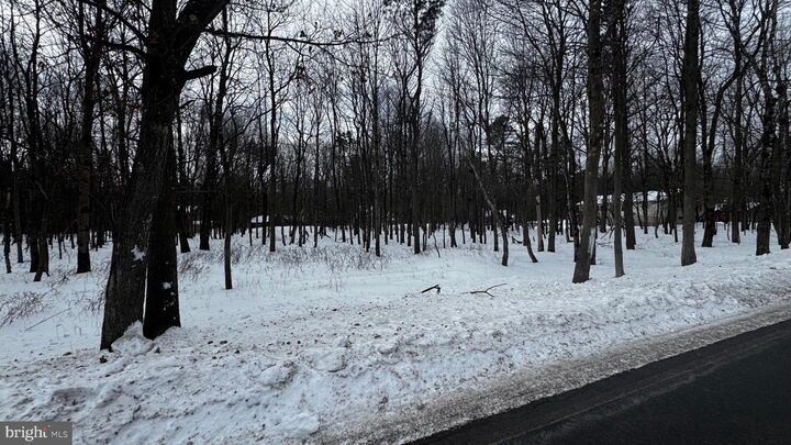Property Photo:  0 Stony Mountain Road Lot Ev961  PA 18210 