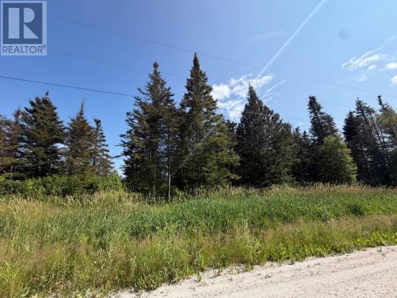 Property Photo:  5 Meadow Brook Rd Ext  NL A8A 0B4 
