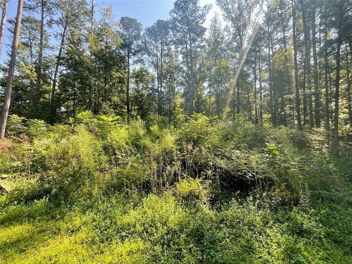 Property Photo:  6031 Falcon Court  GA 30106 