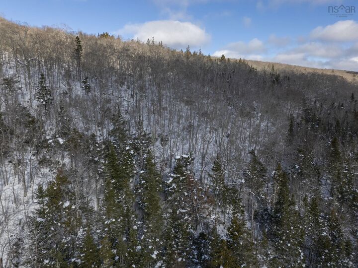 Property Photo:  Lot McKenzie Mountain Road  NS B0S 1A0 