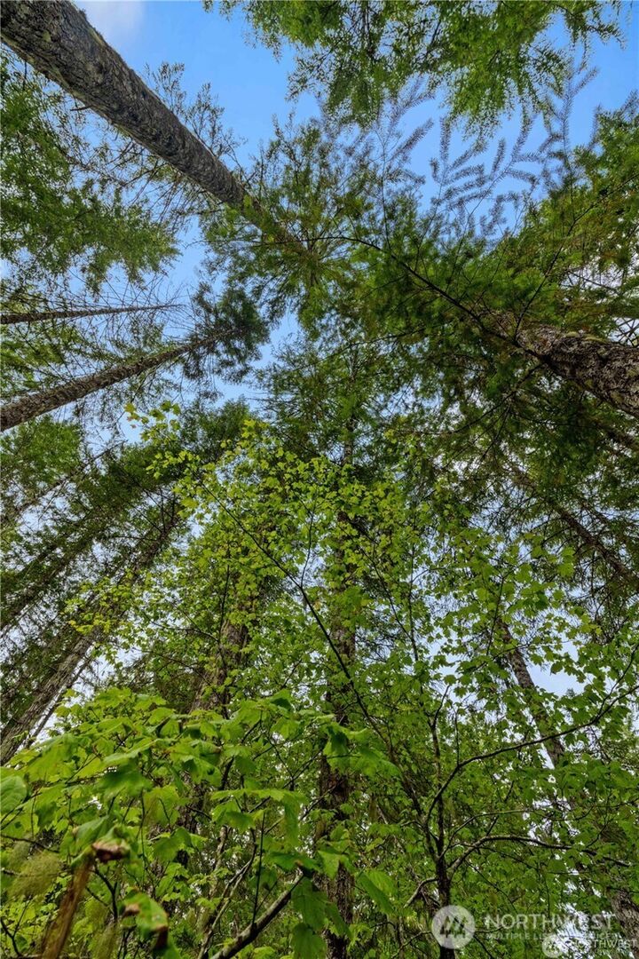 Property Photo:  1291 N Potlatch Drive  WA 98548 