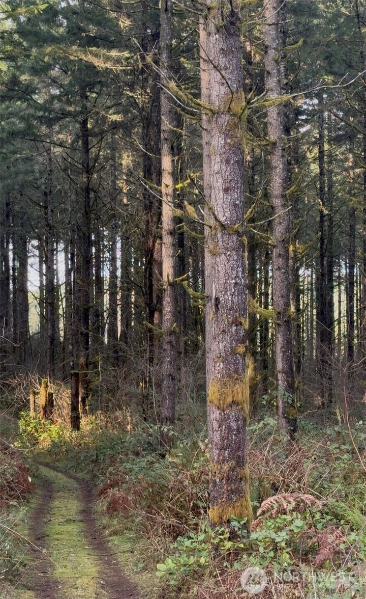 Property Photo:  0  Seminary Hill Road  WA 98531 