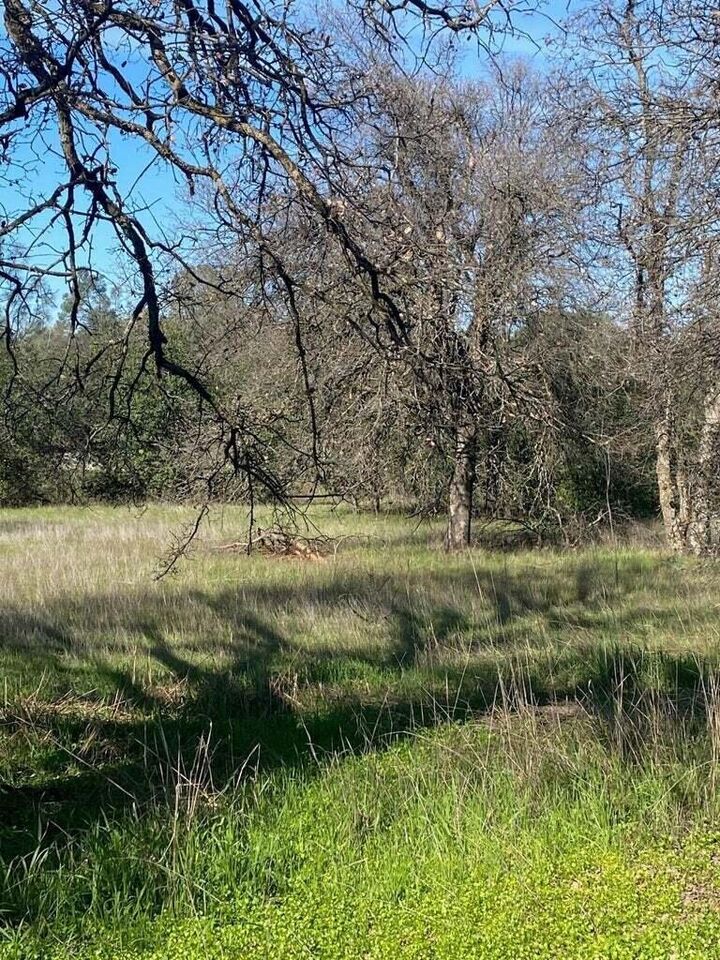 Property Photo:  99999 Churn Creek Road  CA 96002 