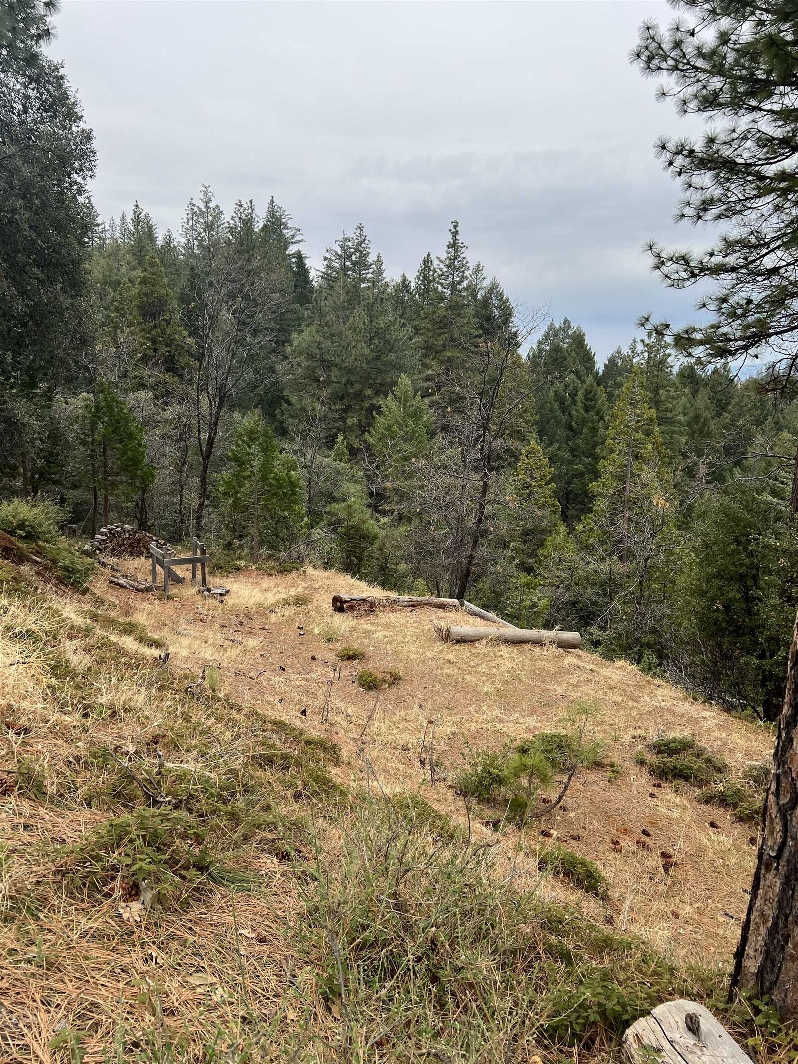 Property Photo:  19262 Tanglewood Trl.  CA 95383 