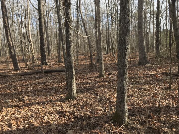 Property Photo: 0 Greenfields Way N TN 37327