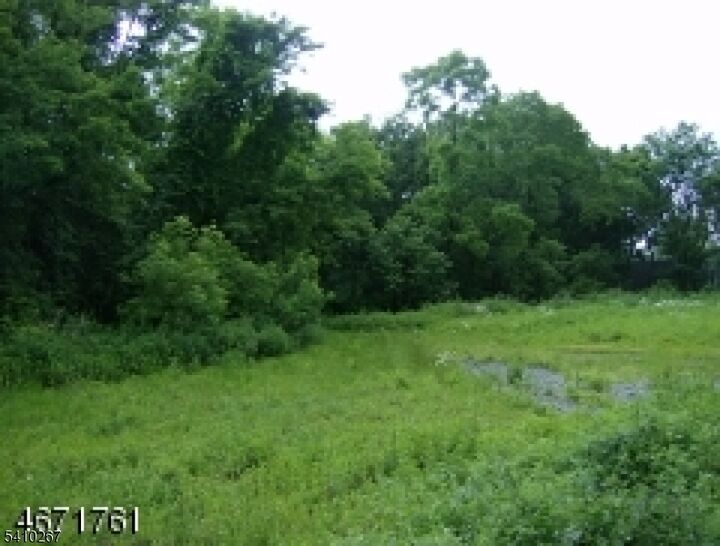 Property Photo:  35 Passaic Valley Rd  NJ 07045 
