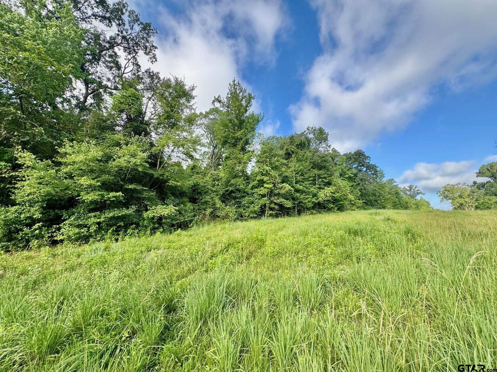 Property Photo: Tbd Cr 369 TX 75792