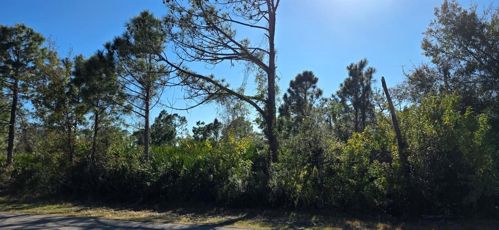 Property Photo:  5481 White Avenue  FL 33981 