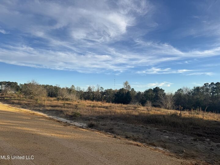 Property Photo:  8 Acres Parker Road  MS 39561 