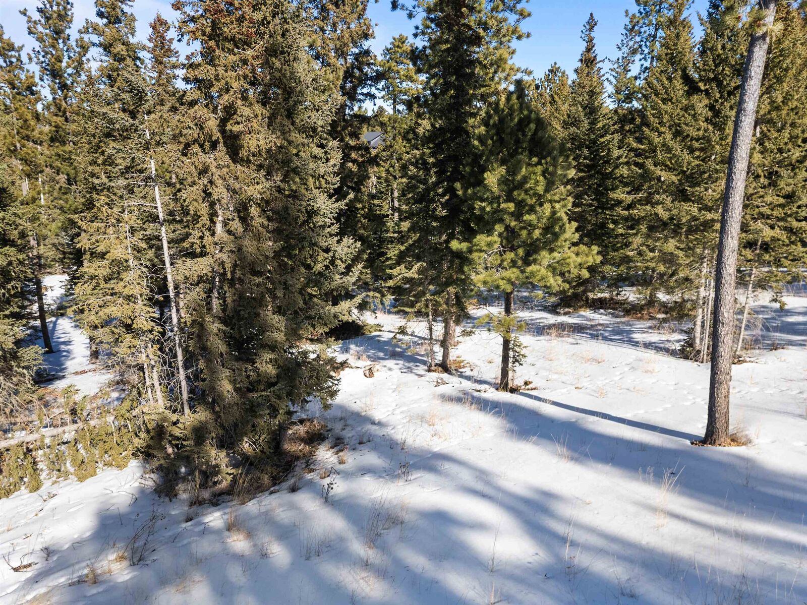 Property Photo:  11292 Trailside Loop  SD 57754 
