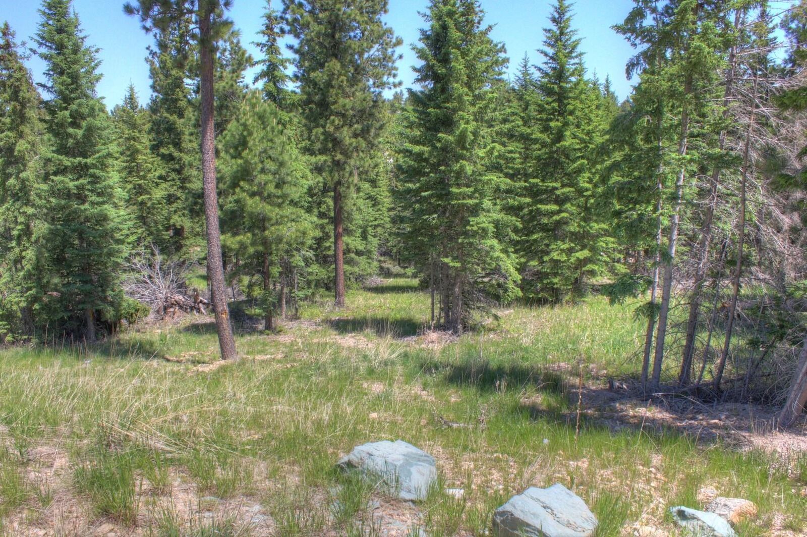 Property Photo: 11292 Trailside Loop SD 57754