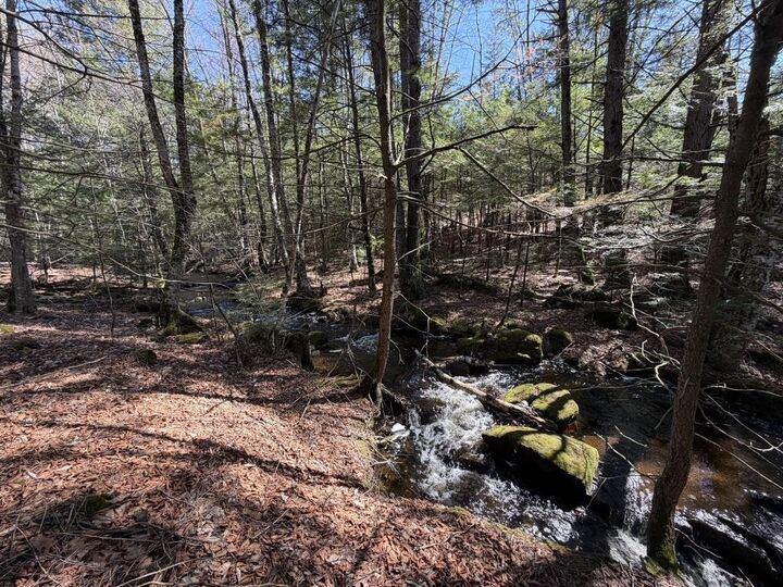 Property Photo: 00 John Stark Highway NH 03773
