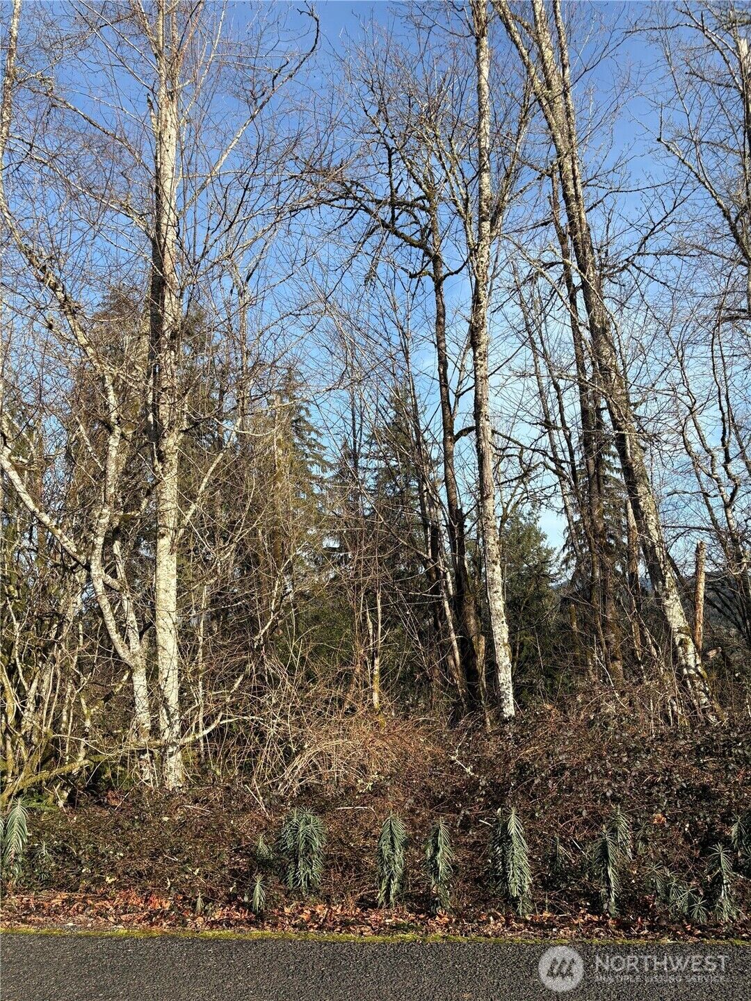 Property Photo:  128  Valley View Drive  WA 98564 