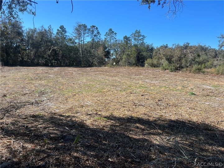 Property Photo: 9808 Granada Court FL 34450