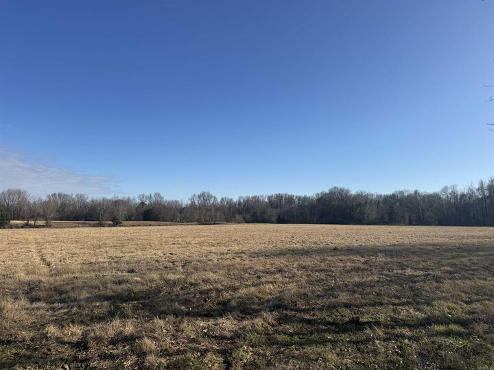 Property Photo:  000 South Main Street  AR 72832 