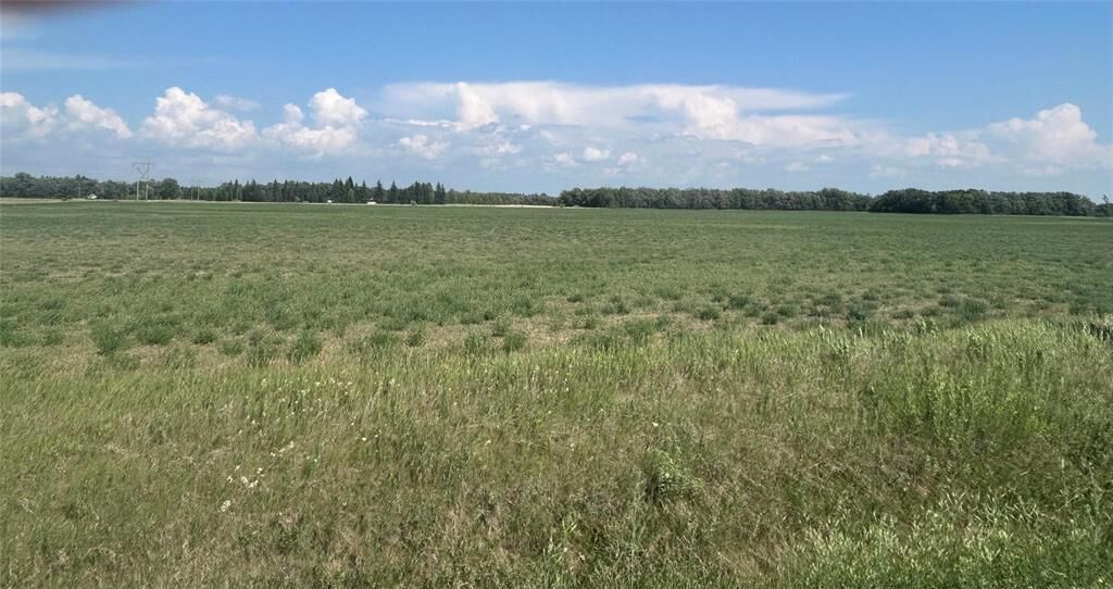 Photo de la propriété:  0 20-13-2E NW 1/4 Twp13 Road  MB R0C 2Z0 