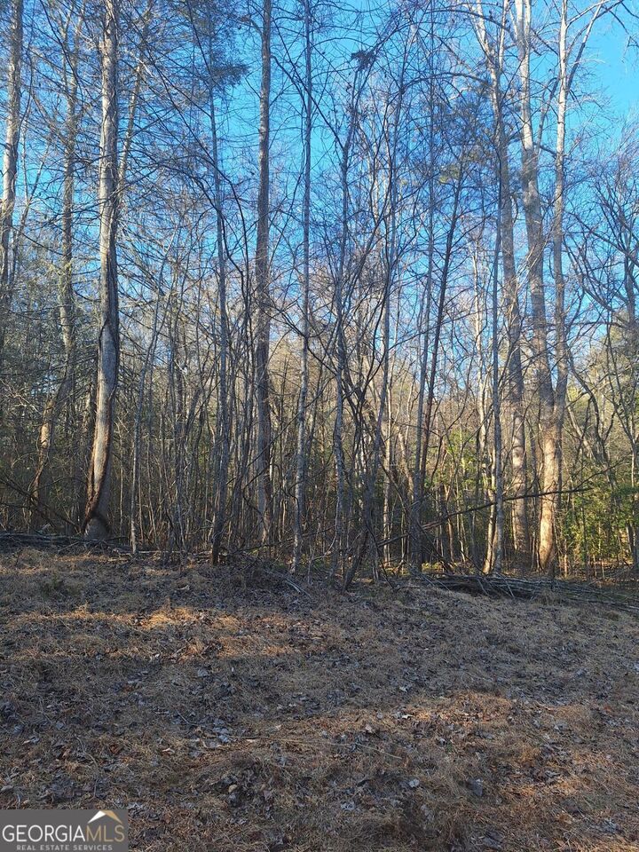 Property Photo:  0 Bent Wood Lane  GA 30513 