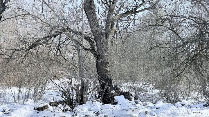 Property Photo:  Vago Rd  WV 24938 