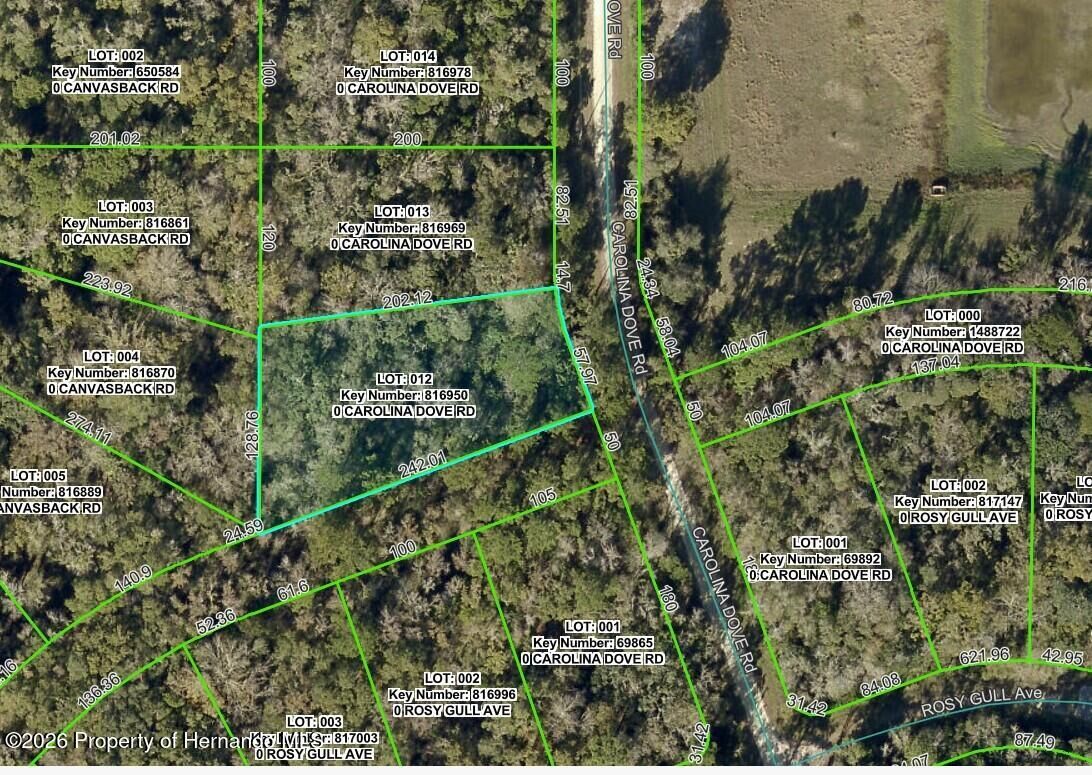 Property Photo:  Lot 12 Carolina Dove Road  FL 34614 
