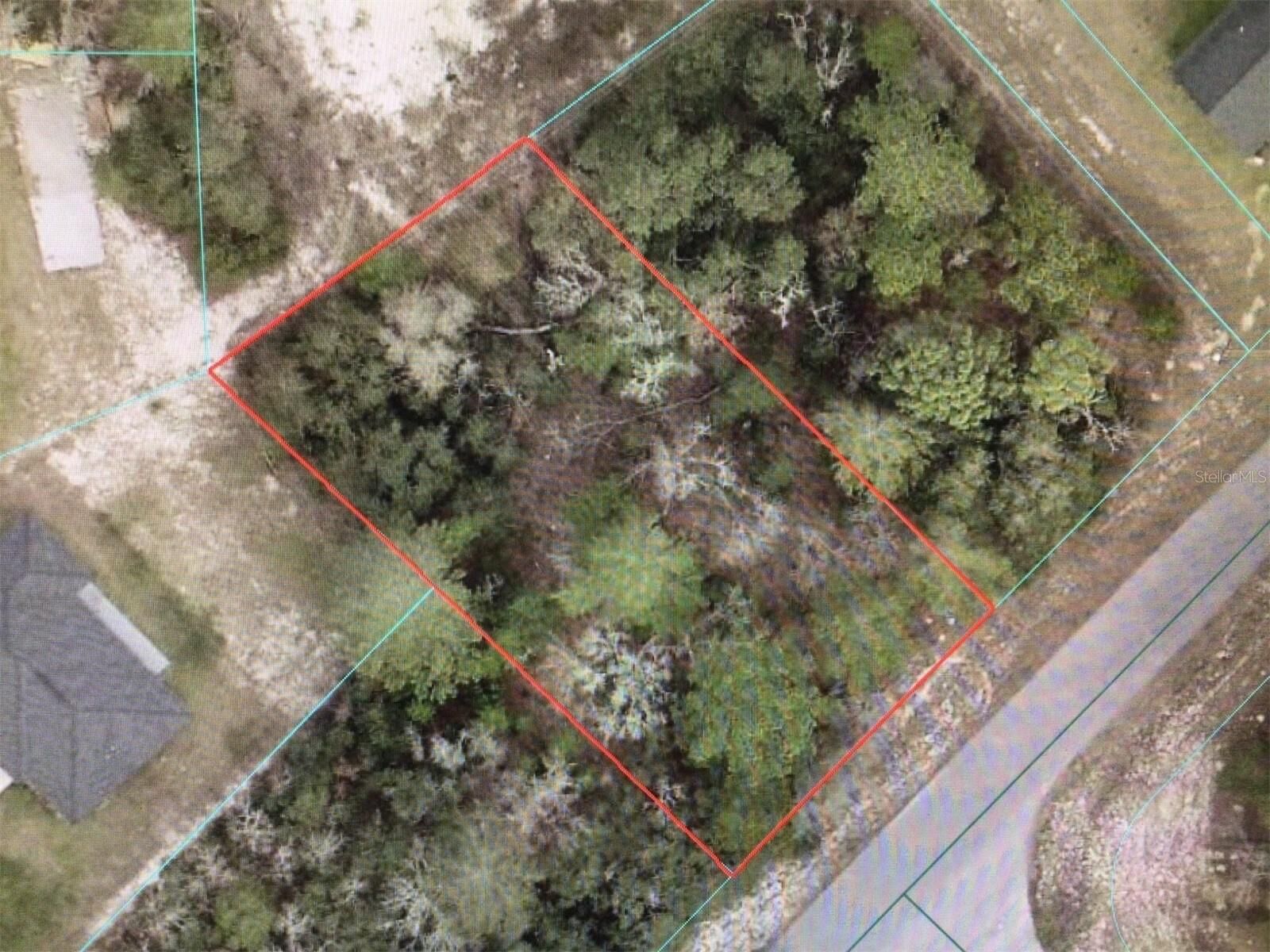 Property Photo:  SW 55 Avenue Road  FL 34473 