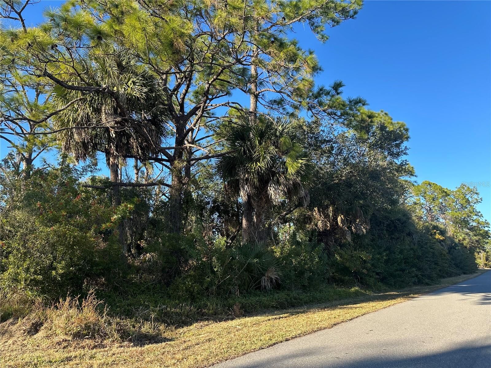 Property Photo:  Clarke Street  FL 34286 