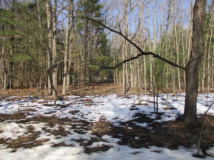 Property Photo: 105th Avenue MI 49450